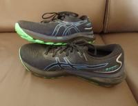 Asics Gel-Cumulus 24 Gtx 13 Laufschuh in Größe 45 Hessen - Frankenberg (Eder) Vorschau