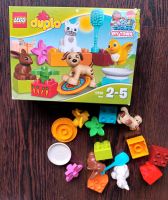 Lego Duplo 10838 Haustiere Komplettset Sachsen - Schkeuditz Vorschau