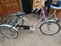 Dreirad für Erwachsene Berlin - Reinickendorf Vorschau