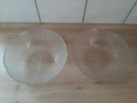 2 x sehr große, einwandfreie Glas - Salatschüsseln Schleswig-Holstein - Bargteheide Vorschau