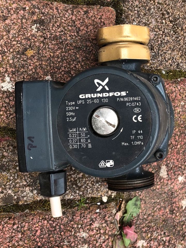 Grundfos Umwälzpumpe Type 25-60 in Harzgerode