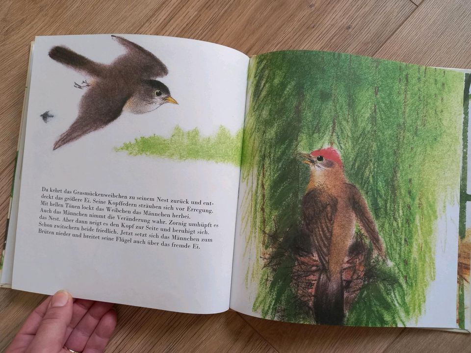 DDR Kinderbuch "Freila - Ein Tag im Leben eines Kuckucks" in Dresden