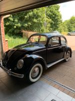 VW Käfer 1961 Oldtimer Tüv und H Zulassung Nordrhein-Westfalen - Wettringen Vorschau