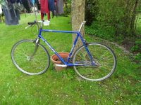 Rahmen: Gazelle Formula Randonneur | Reynolds 525 | RH 58 Nordrhein-Westfalen - Neukirchen-Vluyn Vorschau