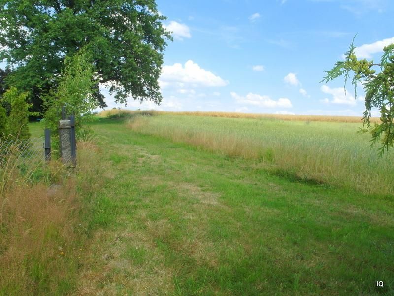 Ruhig und grün im Schönfelder Hochland: Großzügig ausgebautes Wohnhaus mit Nebengelass und Garten in Dresden