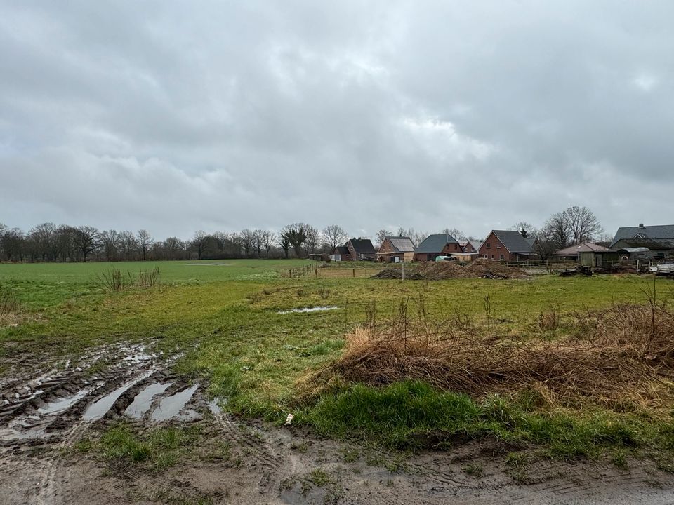 Grundstück in Feldrandlage ohne Käufercourtage in Fredesdorf