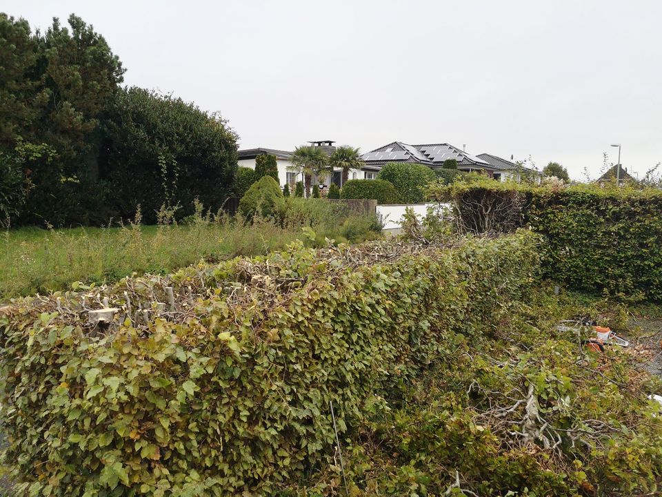 Gartenbau - Gartenpflege - Heckenschnitt - Pflasterarbeiten in Siegburg