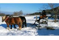 Verkaufe Pferdeschlitten Winter Bayern - Kirchberg i. Wald Vorschau