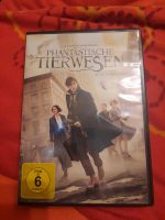 DvD Phantastische Tierwesen und wo sie zu finden sind Sachsen-Anhalt - Quedlinburg OT Gernrode Vorschau