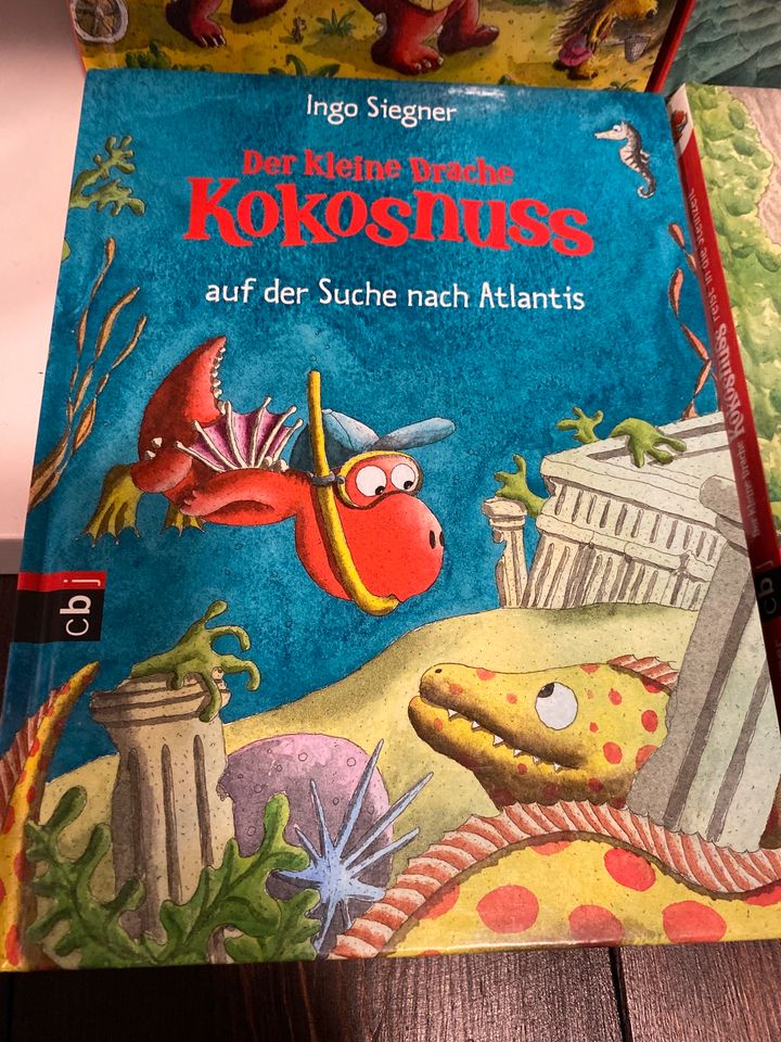 Der kleine Drache Kokosnuss Bücher - 4 er Set in Zehnhausen bei Wallmerod