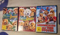 DVDs Die Buddies Hunde Niedersachsen - Bad Laer Vorschau