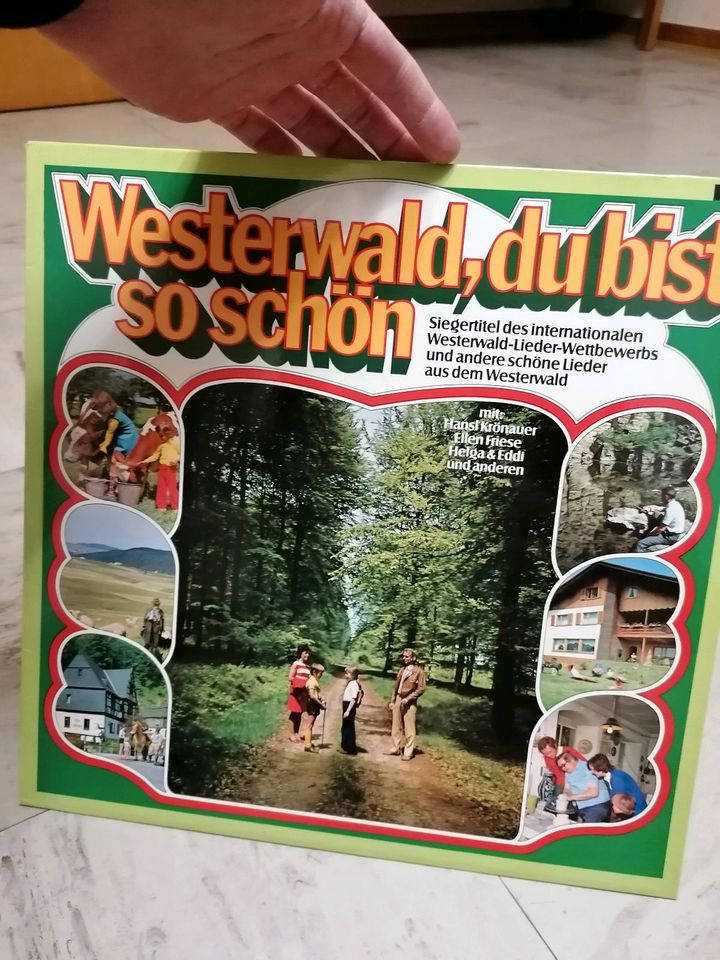 70er Jahre Schallplatten Teil II in Nistertal