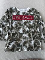 Longsleeve 116, dinos, nie getragen, Langarm Shirt, Camouflage Hessen - Bad Nauheim Vorschau