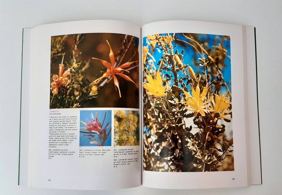 Bestimmungs-Buch / Bildband Austral. Wildblumen, neu in Freiburg im Breisgau