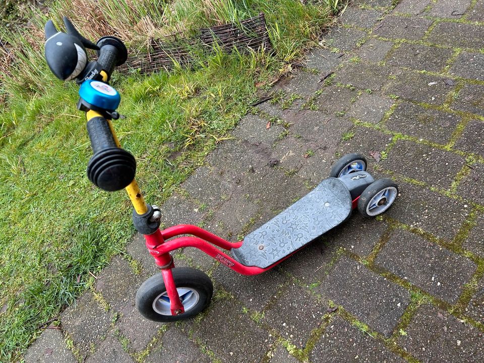 Roller puky in Hohenwestedt