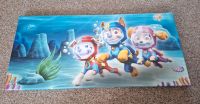 PawPatrol Unterwasser Bild 70 x 33 cm Sachsen-Anhalt - Lutherstadt Wittenberg Vorschau