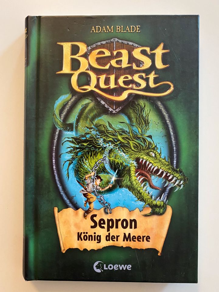 Beast Quest 10 Bücher Nr. 1,2,3,4,9,10,12,31’ in Rosenheim