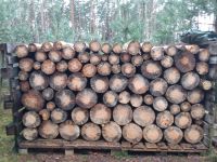 Brennholz Kiefer trocken als Stammholz zu verkaufen Bayern - Schwanstetten Vorschau
