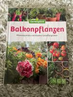 Balkonpflanzen Buch Bayern - Hausham Vorschau
