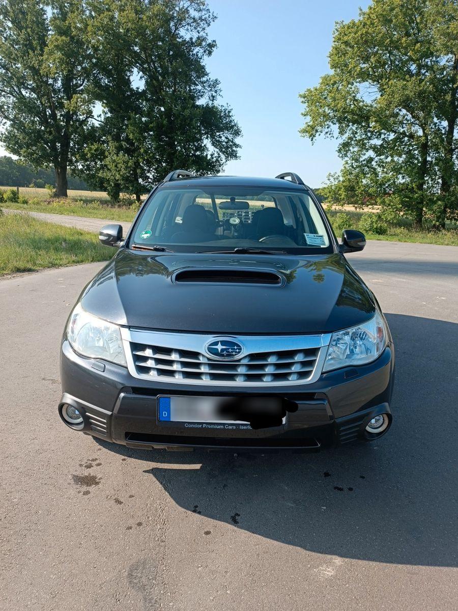 Abbildung des Autos Subaru Forester 2.0D Act…