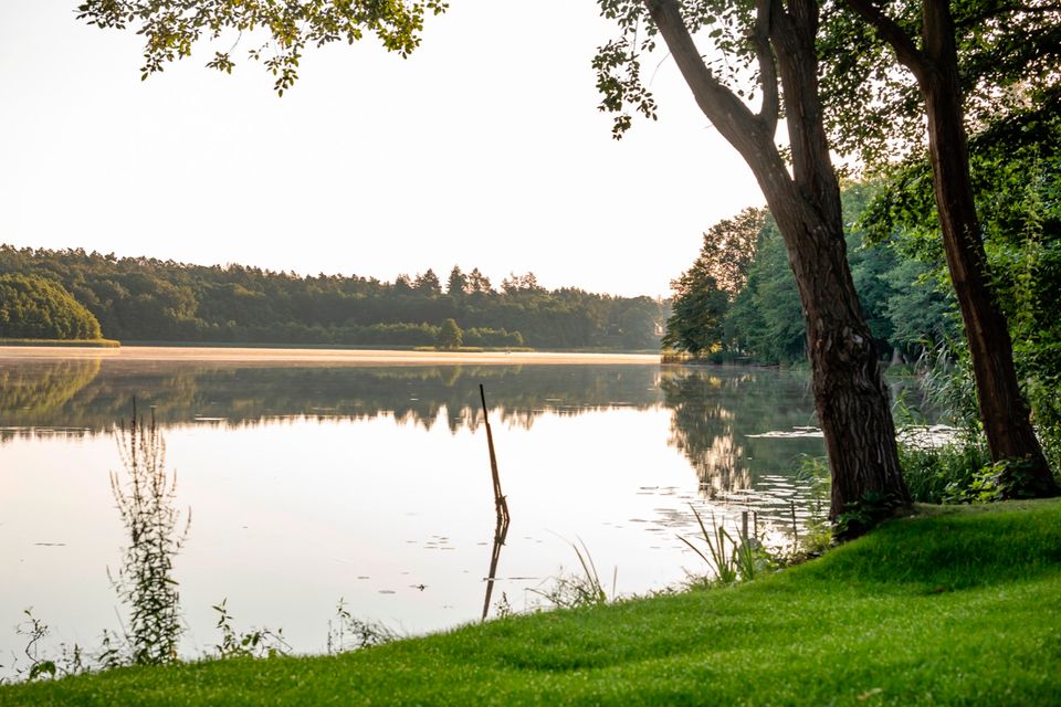 Wohnung am See / Wasserlage in Stechlin