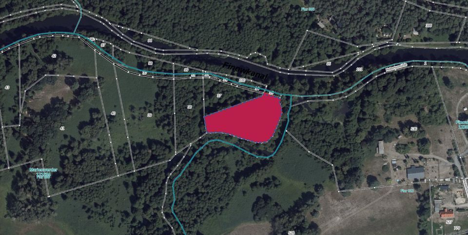 Waldfläche bei Marienwerder, Landkreis Barnim im Land Brandenburg in
