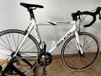 Red Bull Carbon pro Rennrad circa 9,5 Kilo Rahmenhöhe 58 Nordrhein-Westfalen - Gütersloh Vorschau