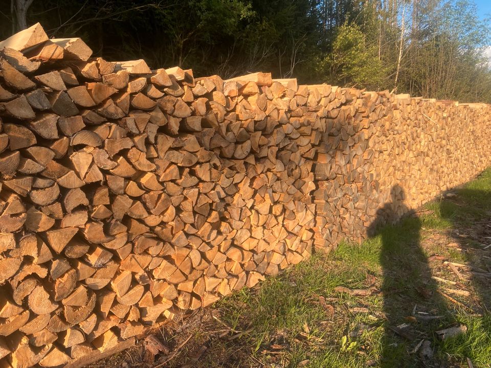 Fichtenbrennholz Brennholz gespalten Trocken *Ofenfertig* in Böbrach