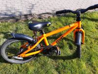 Frogbike 48 Fahrrad 16er - leichteres Rad ähnlich woom u Co Schleswig-Holstein - Rendsburg Vorschau