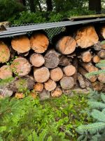 Brennholz für Feuerschale /-tonne im Garten Sachsen - Bautzen Vorschau