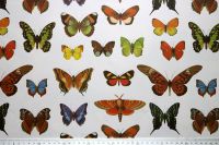 Buntpapier "Schmetterlinge", 65 x 50 cm, brilliante Farben (110) Wiesbaden - Nordenstadt Vorschau