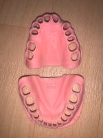 Frasaco Gingiva Zahnfleischmasken OK UK Sachsen-Anhalt - Halle Vorschau