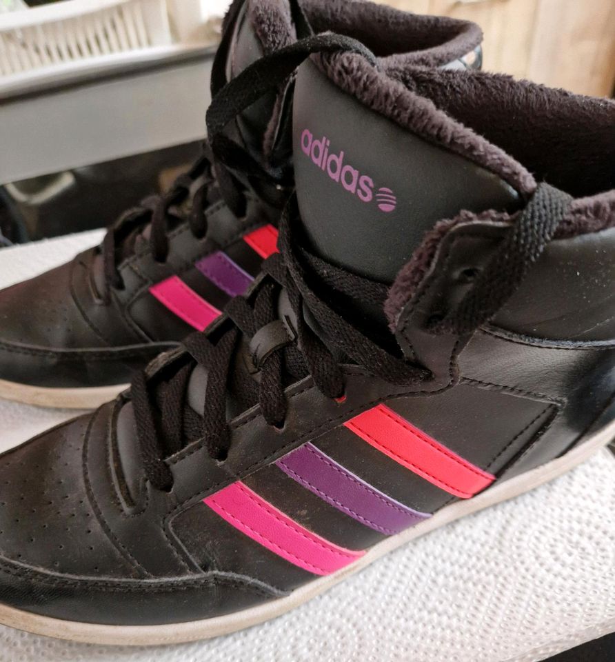 Adidas sneaker Größe 39 in Leipzig