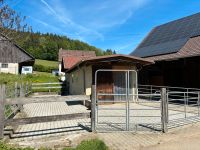 Zu verpachten: Offenstall, Laufstall, Pferdestall, Pferdepension Baden-Württemberg - Schwäbisch Gmünd Vorschau