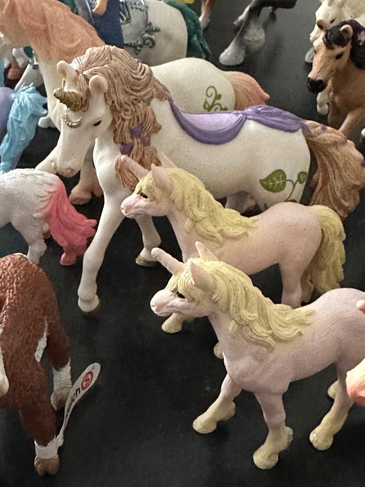 Schleich Sammlung Einhörner, Pferde, Tiere Figuren, Bayalq. in Wiesbaden