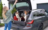 NEU - Kofferraum Hundebett nach Ihren Wunschmaßen - Konfiguration Nordrhein-Westfalen - Neuss Vorschau