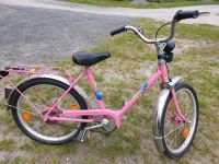 Fahrrad Kinder 20 Zoll Dresden - Loschwitz Vorschau