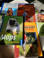 Hunde Bücher Erziehung Beschäftigung Rheinland-Pfalz - Ransbach-Baumbach Vorschau