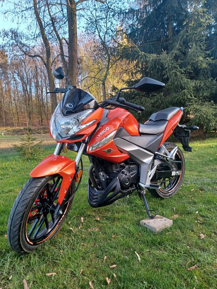 Kymco CK1 125, Motorrad in Bischofswerda