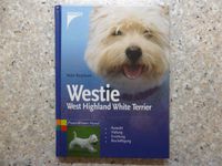 Westie West Highland White Terrier Kosmos Verlag Ratgeber Hessen - Heppenheim (Bergstraße) Vorschau