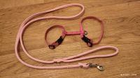 Set Nylon Geschirr Rosa XXXS & Leine rosa 128cm schlaufe Leder Brandenburg - Schwedt (Oder) Vorschau