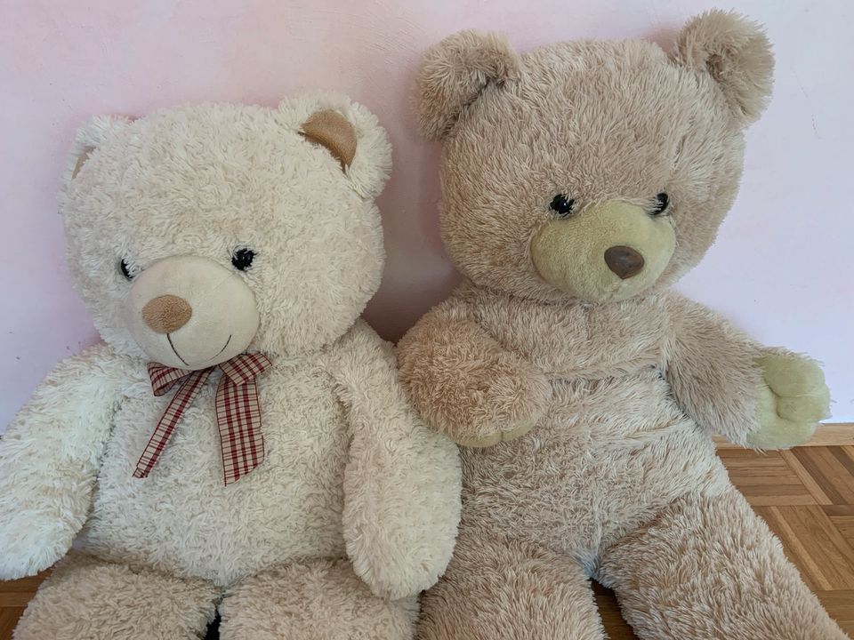 Teddybären groß in Troisdorf