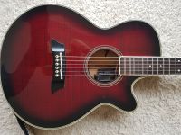 Original Takamine EF 591 MR Gitarre mit zwei Tonabnehmern Dresden - Dresden-Plauen Vorschau