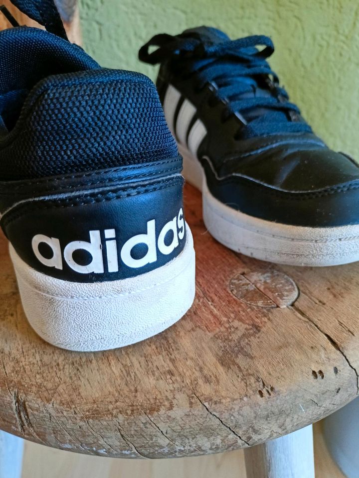 Adidas Sneaker/ Turnschuhe in Sandberg