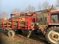 Brennholz Feuerholz Reichenbach (Oberlausitz) - Schöps Vorschau