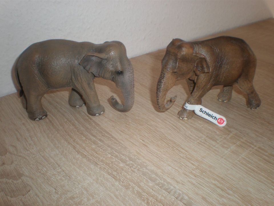 Schleich  Elefanten  Safari  neu in Berlin