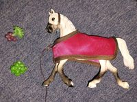 Schleich Horse Club Araber Pferd mit Zubehör 41447 Münster (Westfalen) - Kinderhaus Vorschau