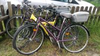 3 Fahrräder zum abholen, verschenken, Schrott Hessen - Biedenkopf Vorschau