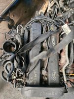 Motor Ford Focus Mk1/1,8liter/Km:185369 top 1A 300€ Bremen - Hemelingen Vorschau