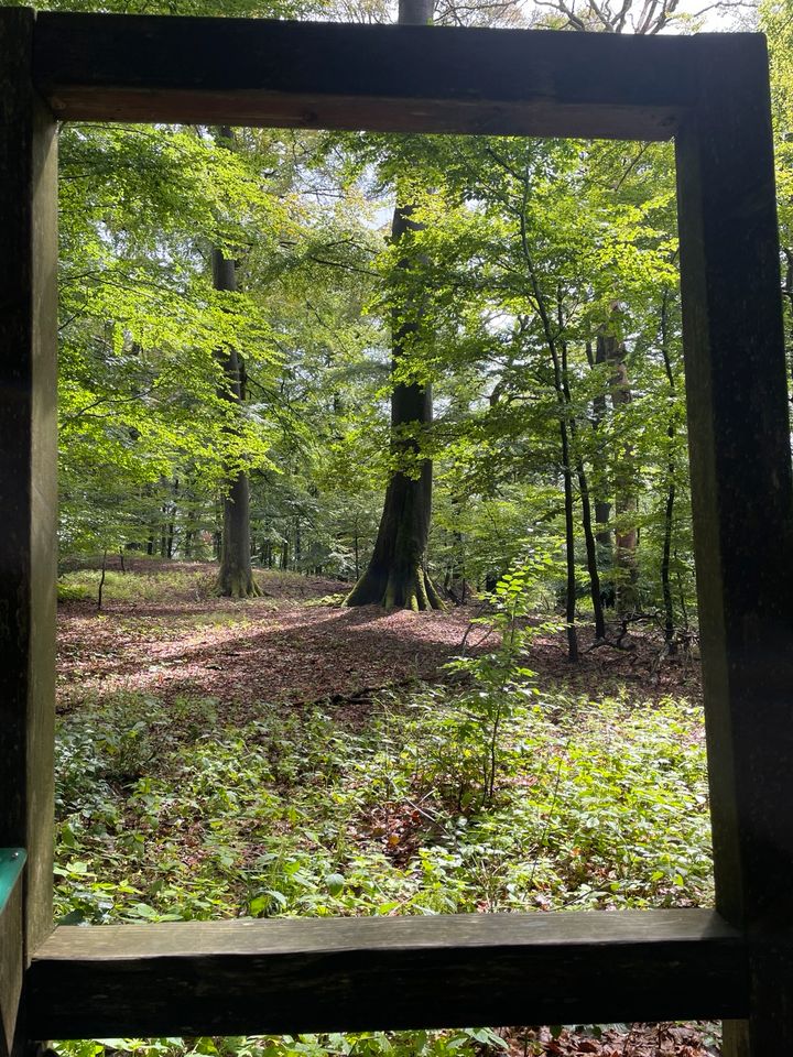 Waldbaden im Taunus bei Frankfurt in Frankfurt am Main